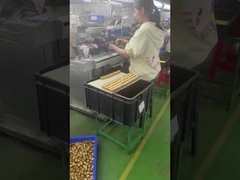 कस्टम 3 डी प्लास्टिक पीवीसी विनाइल डिजाइन खिलौना कस्टम कला खिलौना निर्माता